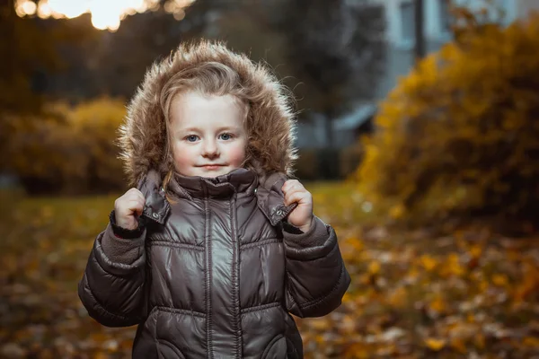 Retrato de outono de menina sorridente bonito — Fotografia de Stock