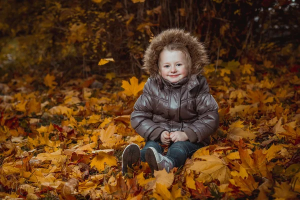 Höst porträtt av söta leende liten flicka med lönn löv — Stockfoto