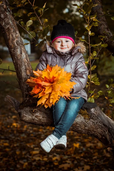 Sonbaharda akçaağaç yaprakları ile gülümseyen sevimli küçük kız portresi