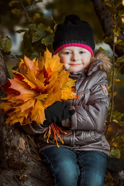 カエデの葉とかわいい笑顔女の子の秋の肖像画 — ストック写真