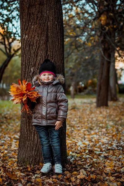 Retrato de outono de menina sorridente bonito com folhas de bordo Fotografia De Stock