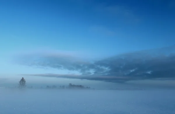 Winter field in fog — Stock Photo, Image