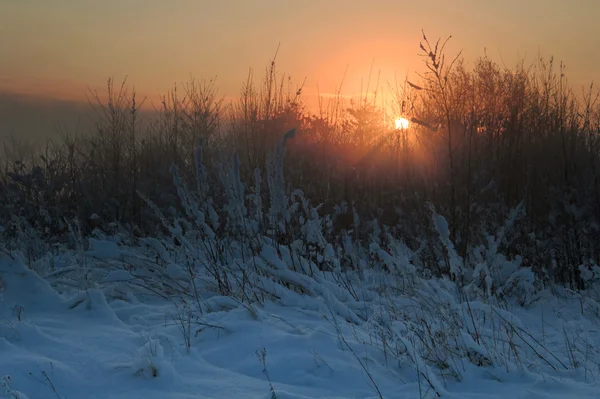 Lumière dramatique du coucher du soleil d'hiver — Photo