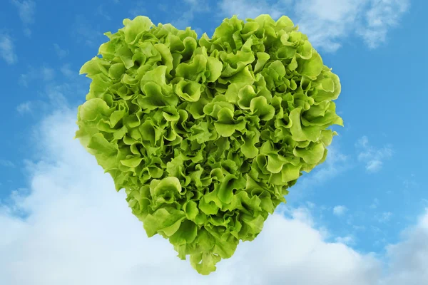 Heart salad in the sky — Stock Photo, Image