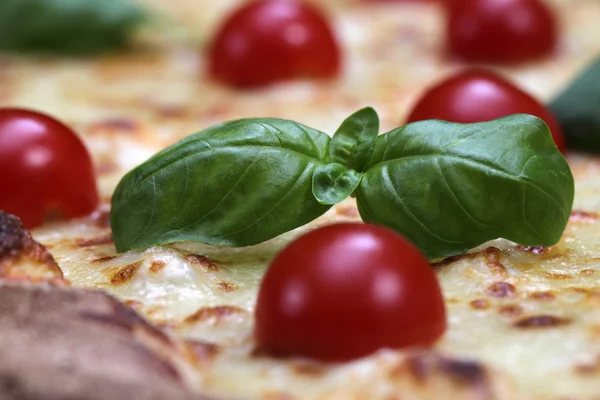 Pizza with tomato and basil — Stock Photo, Image