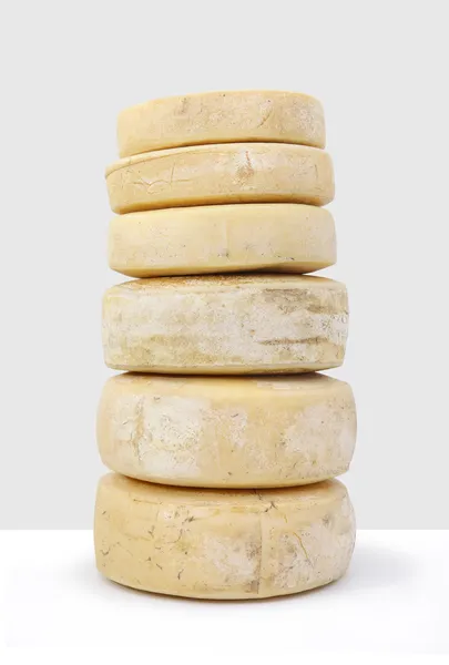 Various forms of cheese on white background — Stock Photo, Image