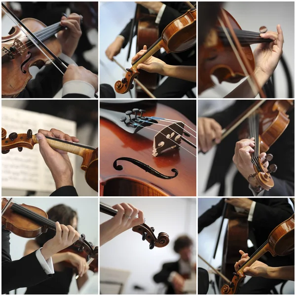 Collage Violino dettaglio musicisti per suonare una sinfonia — Foto Stock