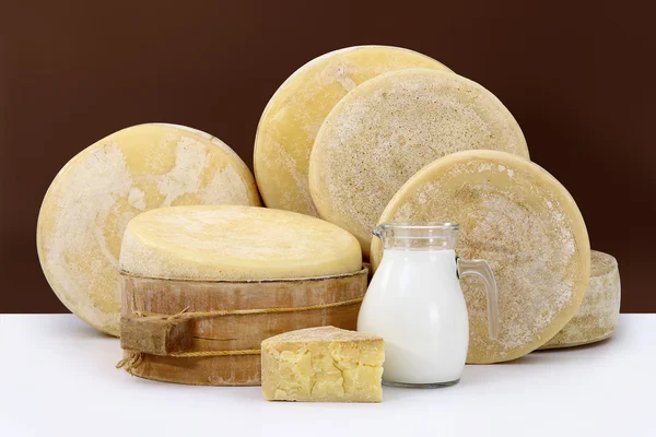 Various hard parmesan cheese on the white table with a jug of mi — Stock Photo, Image