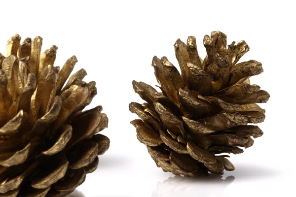 Christmas pine cones resting on a white background — Stock Photo, Image