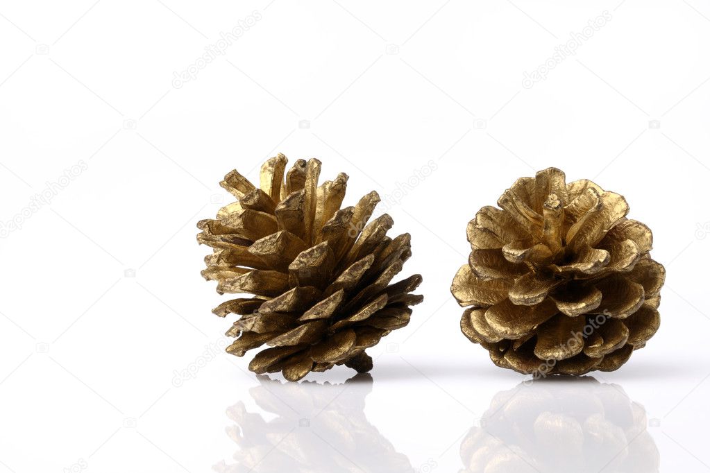 Christmas pine cones resting on a white background 