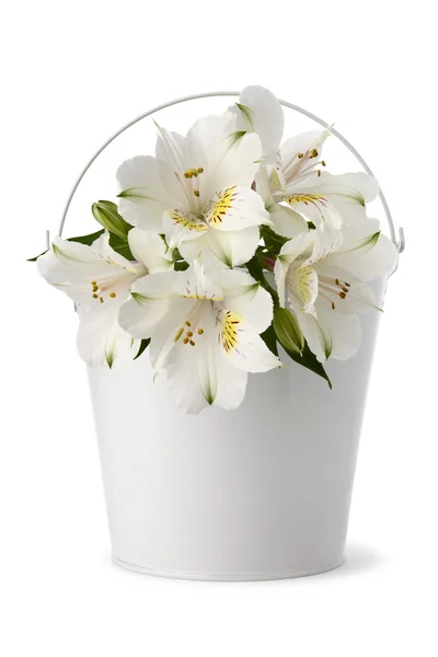 Vase avec des fleurs sur fond blanc — Photo