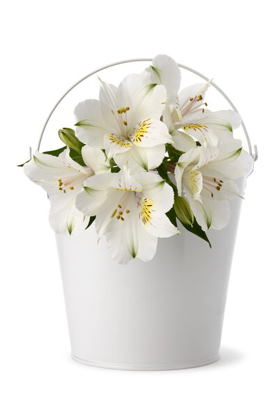 vase with flowers on white background 