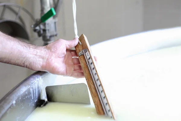 Mãos leiteiras que controlam a temperatura do leite para o queijo — Fotografia de Stock