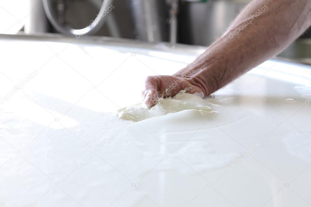 hands that prepare the cheese dairy