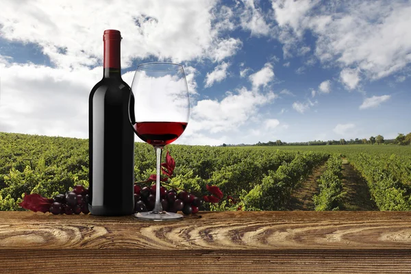 Landscape of vineyards with bottle, glass of wine and bunch of g — Stock Photo, Image