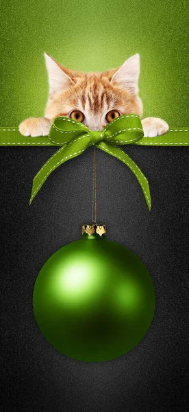 宠物店圣诞快乐礼品卡配上猫和丝带弓及绿色圣诞彩球 背景为黑色闪烁着光芒 仿制可用于贺卡或购物标签或售价标签的空间布局 — 图库照片