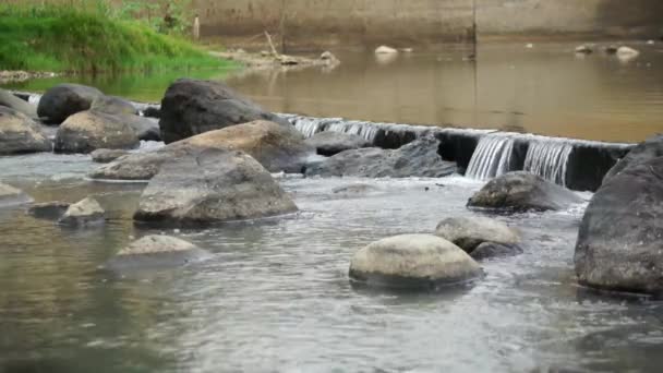 Water Flows Rocks Small Water Discharge Dry Season Beautiful Natural — Αρχείο Βίντεο
