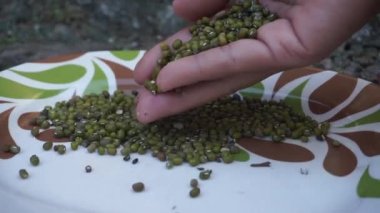 Yeşil fasulyeleri tabağa serp, kaliteyi ve uygunluğu garantiye al. Sağlıklı yeşil fasulye lapası yapmanın temel bileşenleri.