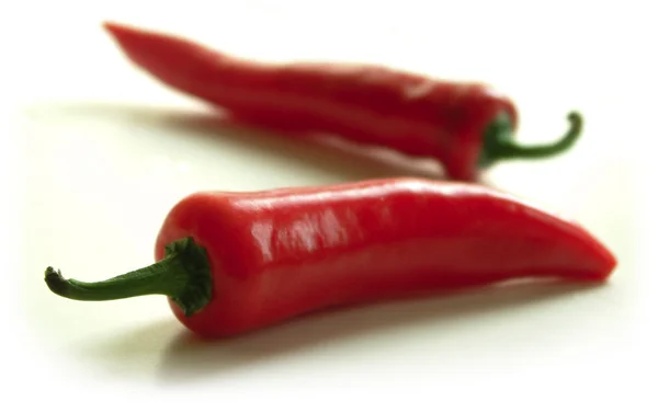 Fehér háttér egész piros chili — Stock Fotó