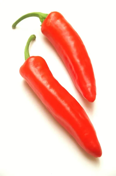 Interi chilies su semplice backgroind — Foto Stock