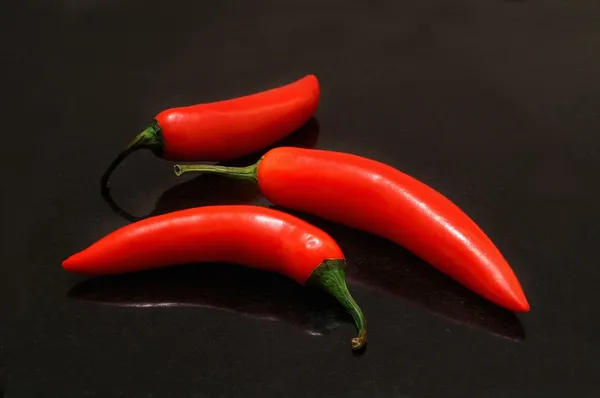 Whole chilies on plain backgroind — Stock Photo, Image