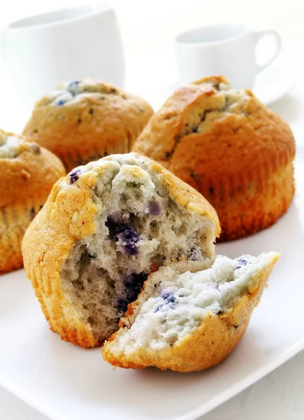 Muffins aux myrtilles sur fond blanc — Photo