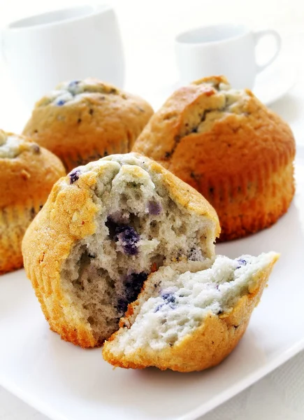 Muffins de mirtilo no fundo branco — Fotografia de Stock