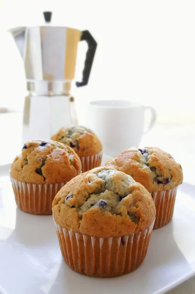 Flavored muffins — Stock Photo, Image