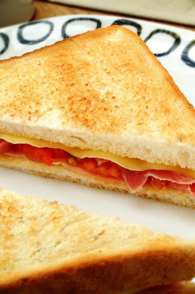 Поджаренный сэндвич с кростини — стоковое фото
