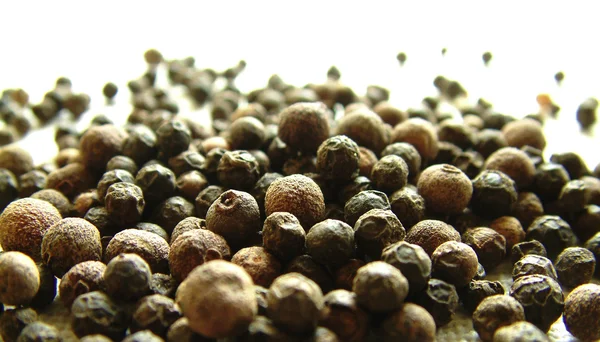 Allspice berries — Stock Photo, Image