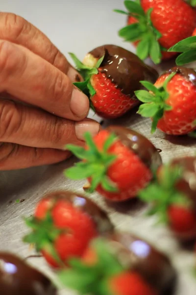 Chef-kok maken chocolade aardbeien — Stockfoto