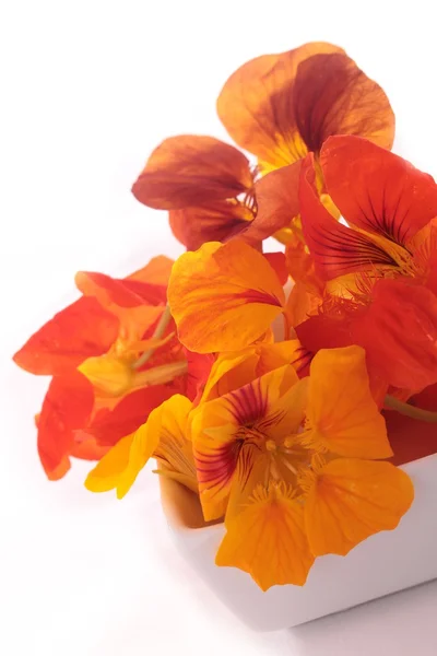 Flori comestibile — Fotografie, imagine de stoc