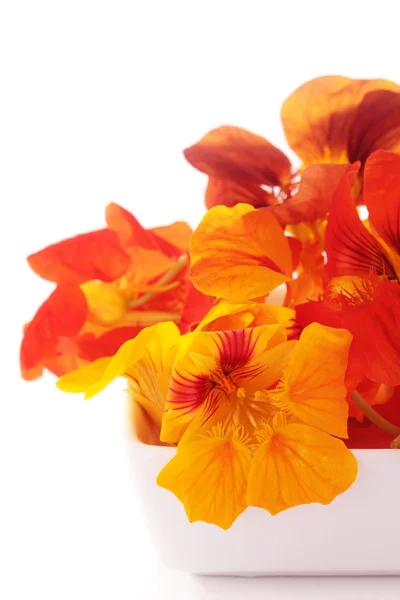 Edible flowers — Stock Photo, Image