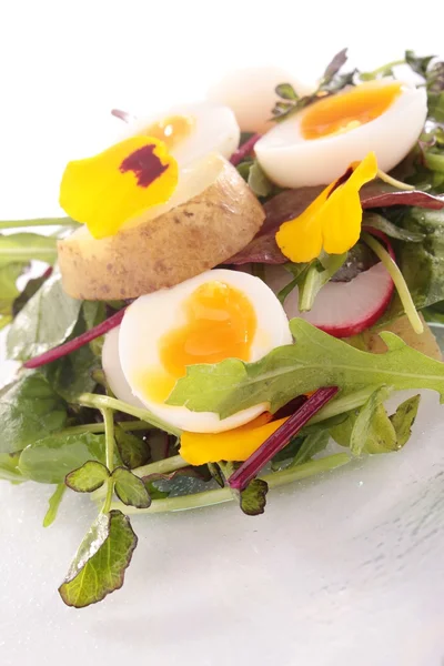 Salát s pošírovaným Křepelčí vejce, květiny — Stock fotografie