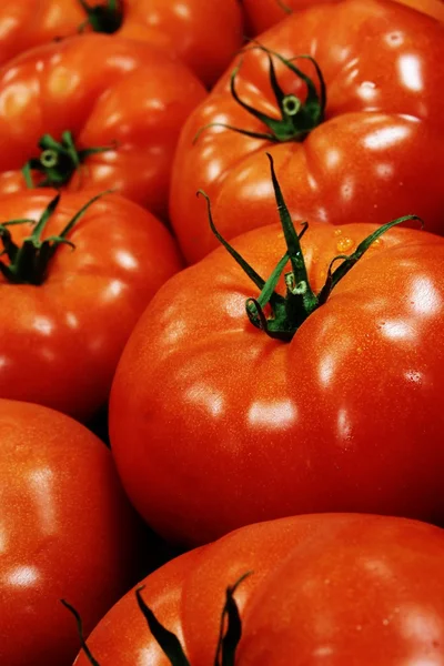 Tomaten — Stockfoto