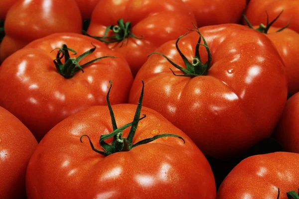 Tomaten — Stockfoto