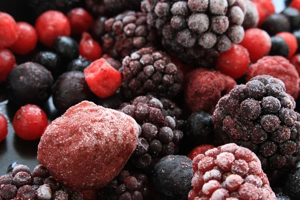 Bevroren zomer fruit — Stockfoto
