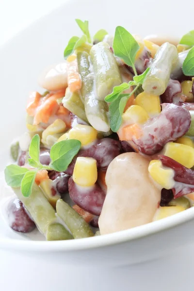 Mixed bean salad in bowl — Stock Photo, Image