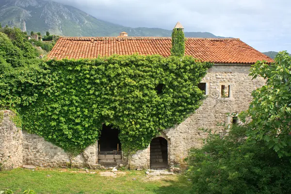 Terk edilmiş evde — Stok fotoğraf