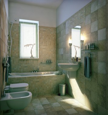 Wc with bathroom scene