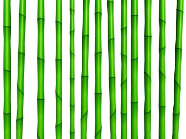 Bambu duvar