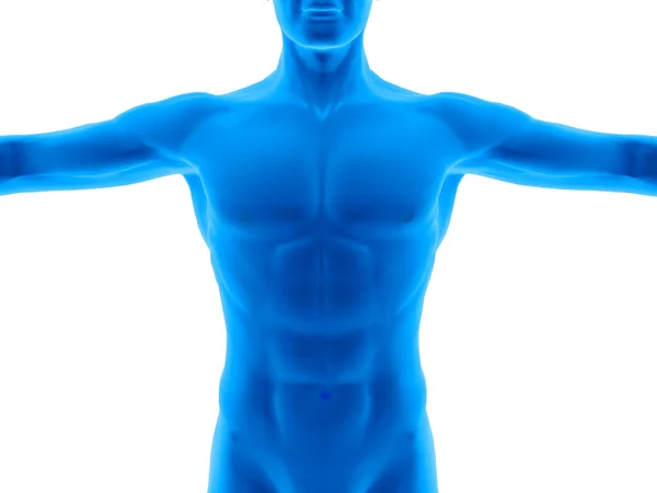 Man body — Stock Photo, Image