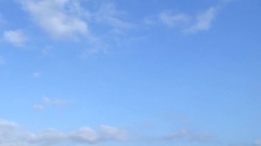 Uçağın kara kara sinek