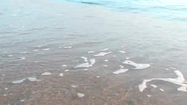 Mar con olas — Vídeo de stock