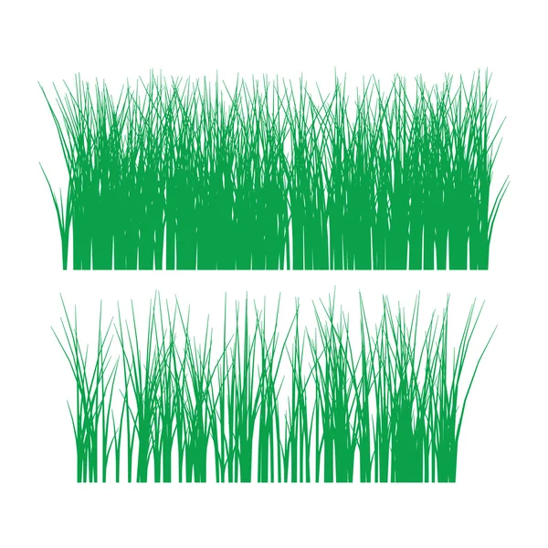 Herbe — Image vectorielle