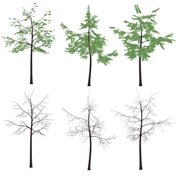 Árbol con hojas — Archivo Imágenes Vectoriales