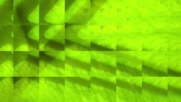 Abstract Green Video Background — Stock Video