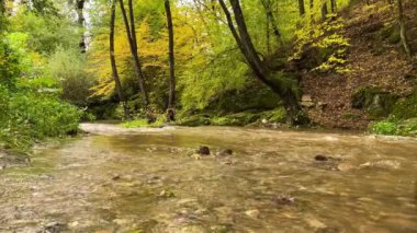 Sonbahar mevsiminde ormanda sel basmış bir nehir.