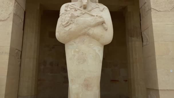 Hatshepsut Templo Figuras Columnas — Vídeos de Stock