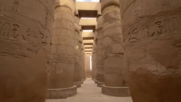 Ναός Του Καρνάκ Στην Αίγυπτο — Αρχείο Βίντεο